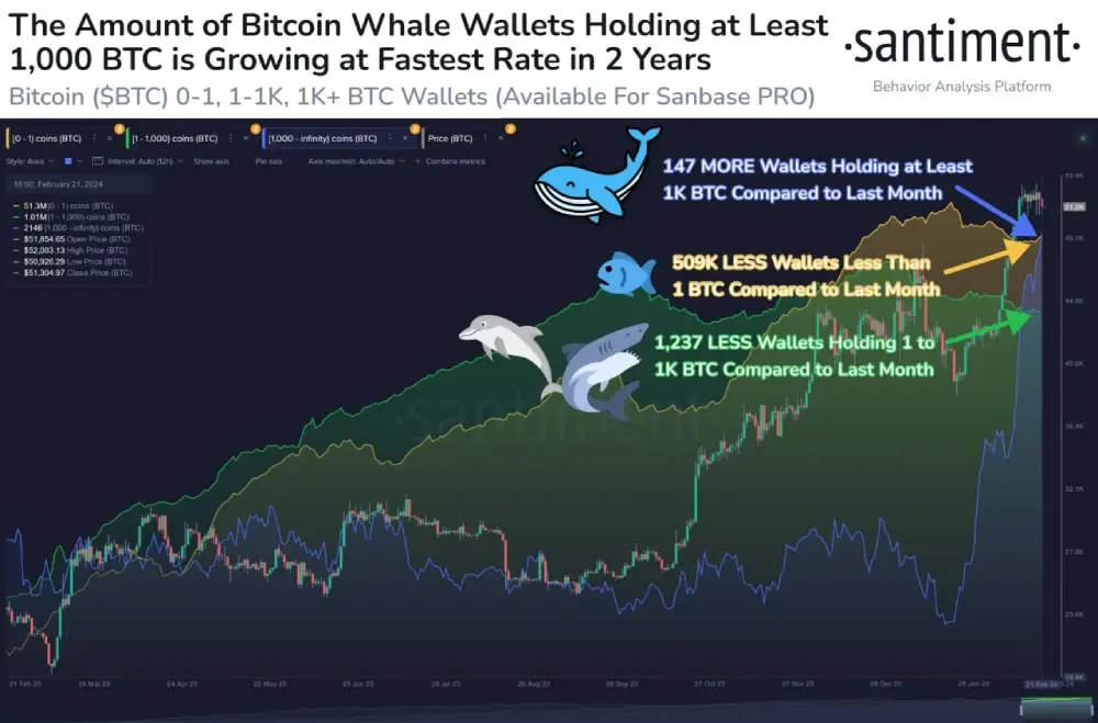 Sentiment: Wallets of various sizes #onchain 📊 #Bitcoin )